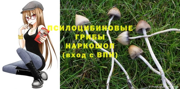 амф Беломорск