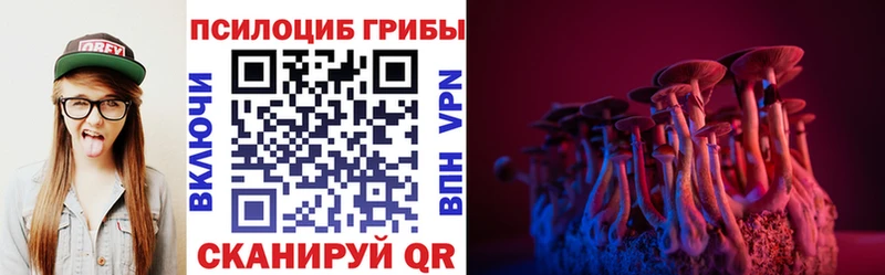 закладки  Пионерский  Галлюциногенные грибы ЛСД 
